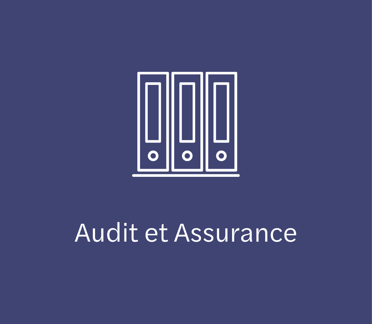 French_Audit